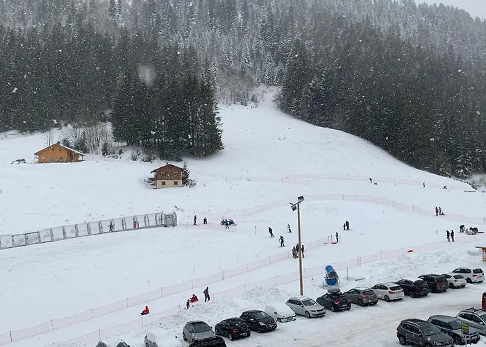 Chalet Proche Morzine Et Lac Leman Wifi Offert